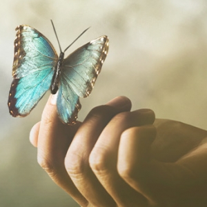 Imagem de Joel Neto e Raquel Varela demonstram o “Efeito Borboleta”