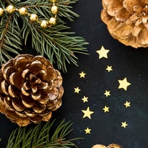 Imagem de Receitas das terras do Pão, do Leitão, e do Litão