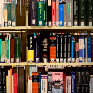 Imagem de Dia Mundial do Livro: entre o tradicional e o digital