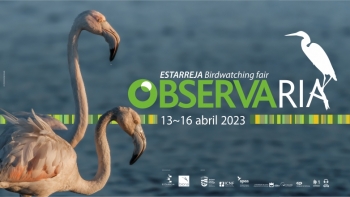 ObservaRia 2023