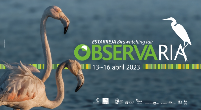 Imagem de ObservaRia 2023