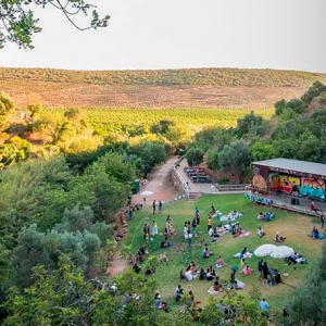 Imagem de Artes e tecnologia fundem-se na aldeia de Alte