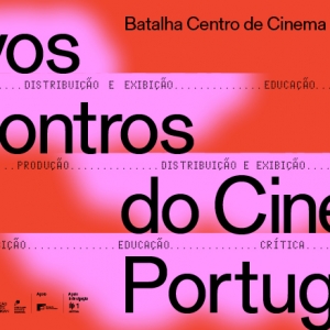 Imagem de Novos Encontros do Cinema Português