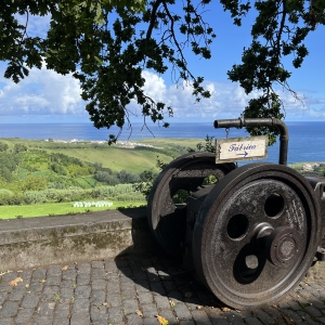 Imagem de A cultura do chá na ilha de São Miguel