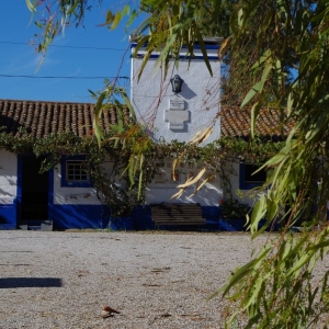 Imagem de “De Cravo ao Peito”: de Alcáçovas à Liberdade