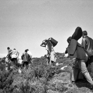 Imagem de “De Cravo ao Peito”: os que fugiram da guerra