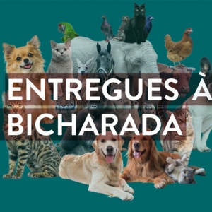 Imagem de Um podcast Antena 1 dedicado aos animais de companhia