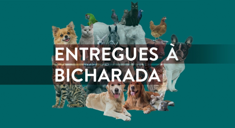 Um podcast Antena 1 dedicado aos animais de companhia