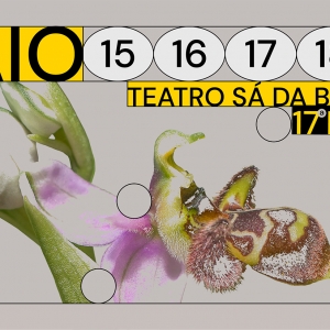 Imagem de FICS 2024: Festival Internacional de Cinema de Santarém