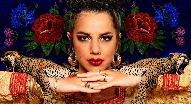 Imagem de MED fecha cartaz para 2024