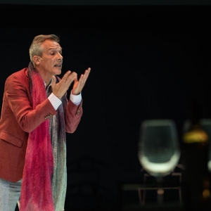 Imagem de Um monólogo, vinho para totós e uma ardente paciência