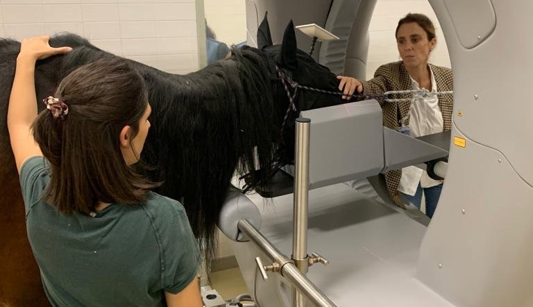 Visita à mais antiga faculdade de medicina veterinária de Portugal