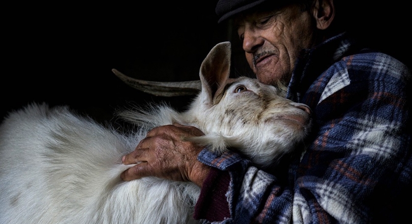 Um veterinário que eterniza a sua profissão