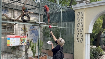 Imagem de “Entregues à Bicharada”: visita guiada ao Jardim Zoológico