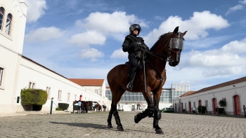 Imagem de Das cerimónias à patrulha, os cavalos da GNR