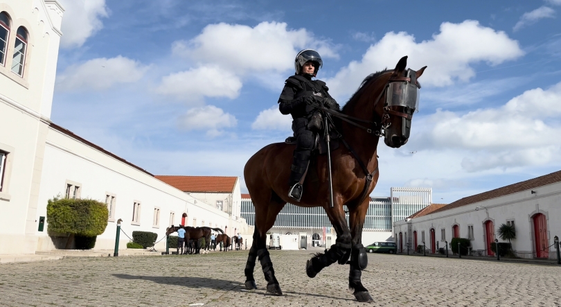 Das cerimónias à patrulha, os cavalos da GNR