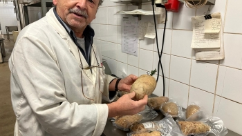 Imagem de Da nossa gastronomia regional: o maranho da Beira Baixa