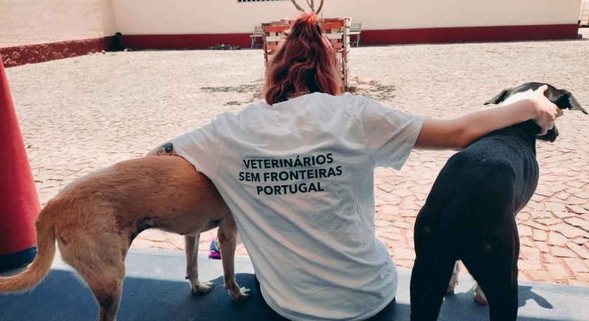 A missão dos Veterinários Sem Fronteiras