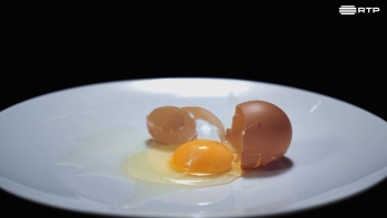 Imagem de “Transforma-se o amador”: sustentabilidade