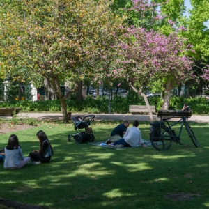 Imagem de No Jardim da Estrela, com Teresa Dias Mendes