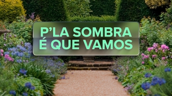Imagem de P’la Sombra é que Vamos