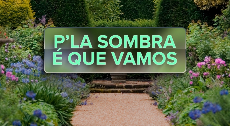 Imagem de P’la Sombra é que Vamos