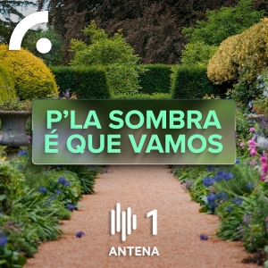 Imagem de P’la Sombra é que Vamos