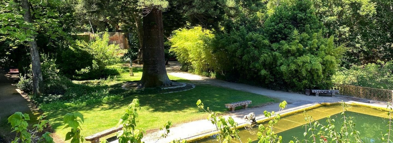 Imagem de Teresa Dias Mendes guia-nos pelo Parque Botânico no Lumiar