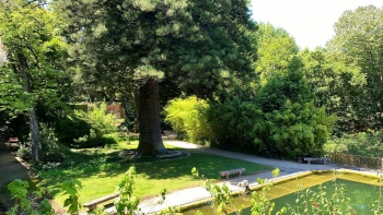 Imagem de Teresa Dias Mendes guia-nos pelo Parque Botânico no Lumiar