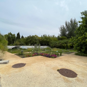 Imagem de Teresa Dias Mendes leva-nos a conhecer jardins