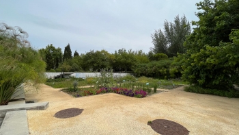 Imagem de Teresa Dias Mendes leva-nos a conhecer jardins