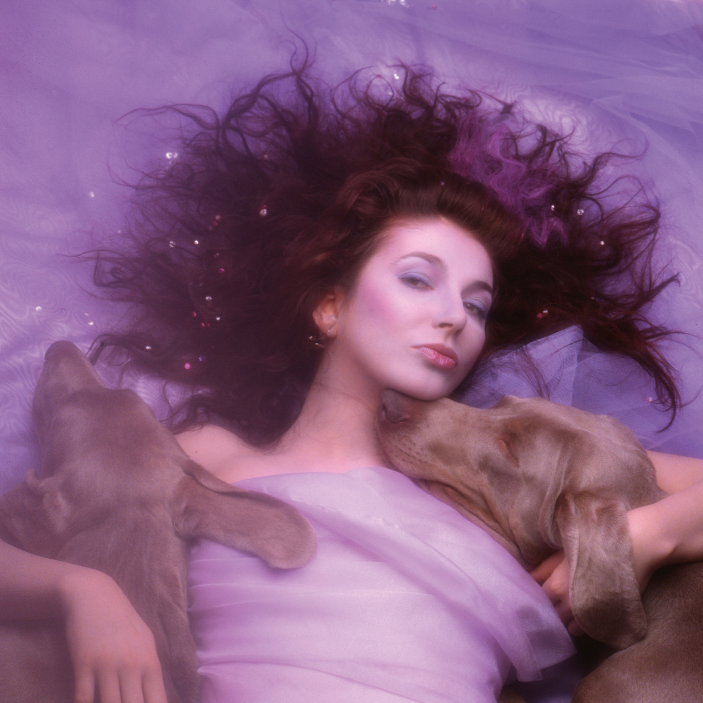Hounds of Love