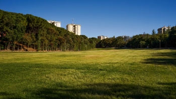 Imagem de No Parque do Vale do Silêncio, com Teresa Dias Mendes
