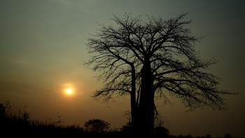 Imagem de “A1 Doc”: Angola, meio século de vida