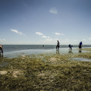 Imagem de As mulheres que vivem do mar, na ilha de Moçambique