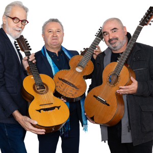 Imagem de Violas EnCantadas: “A Viola Beiroa”