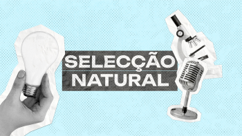 Imagem de As ideias científicas lutam pela sobrevivência na Antena 1