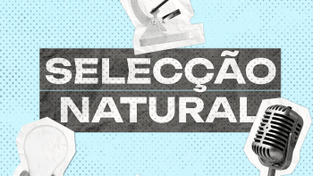 Imagem de Selecção Natural