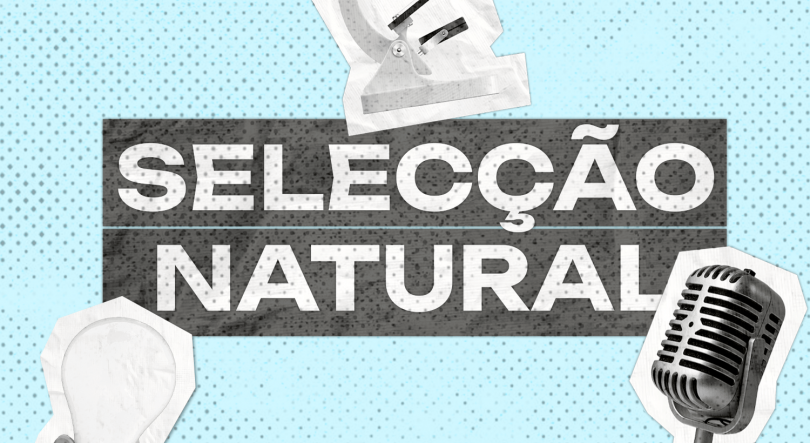 Imagem de Selecção Natural