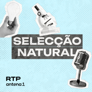 Imagem de Selecção Natural