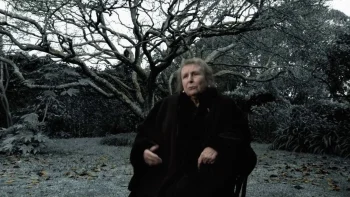 Imagem de Reler Agustina Bessa-Luís