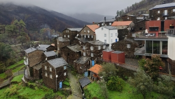 Imagem de Reportagem na Serra do Açor: o que fica quando as chamas se apagam