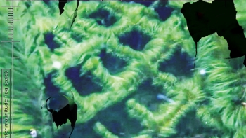 Imagem de Alexandre Estrela: “RedSkyFalls” na Bienal de Veneza 2026