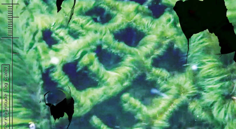 Imagem de Alexandre Estrela: “RedSkyFalls” na Bienal de Veneza 2026