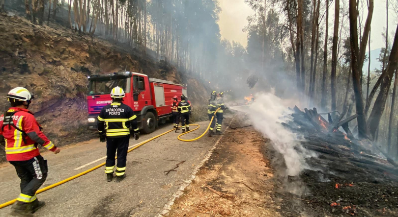 Imagem de Incêndios: conversa com um especialista em ecologia do fogo