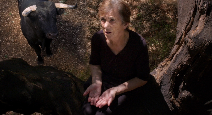 Imagem de Filme RTP Antena 1: “Fogo do Vento”, de Marta Mateus