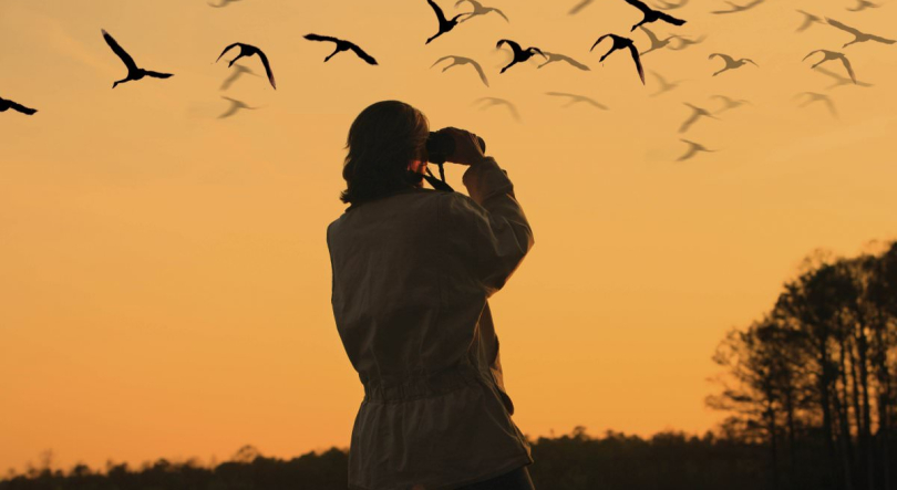 Imagem de “Birdwatching” na juventude e 7 de outubro em Israel