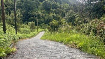 Imagem de Reportagem: o duplo pulsar da Madeira, entre a pressão turística e os refúgios de silêncio