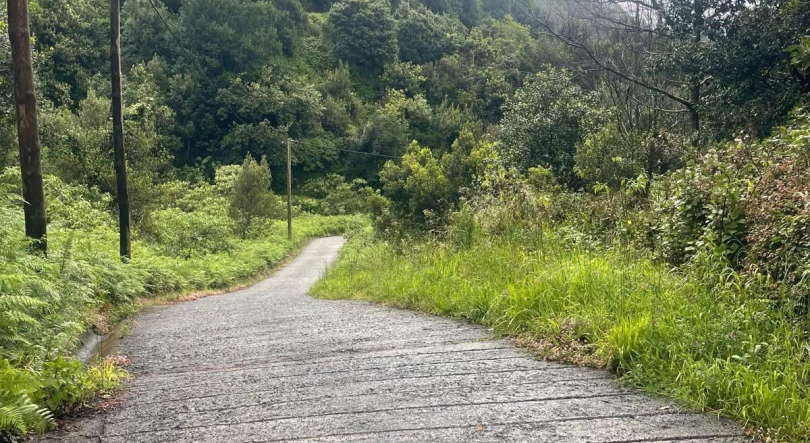 Imagem de Reportagem: o duplo pulsar da Madeira, entre a pressão turística e os refúgios de silêncio